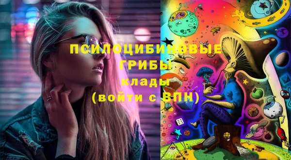экстази Дмитров