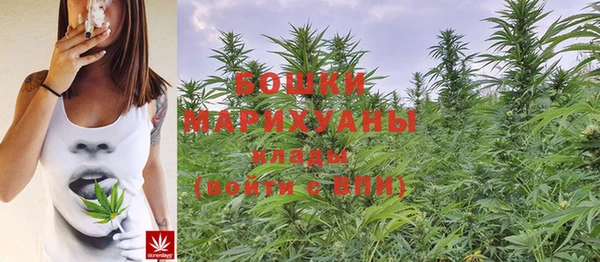 хмурый Елизово