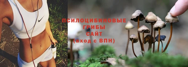 apvp Заволжск