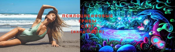кокаин премиум Дмитриев
