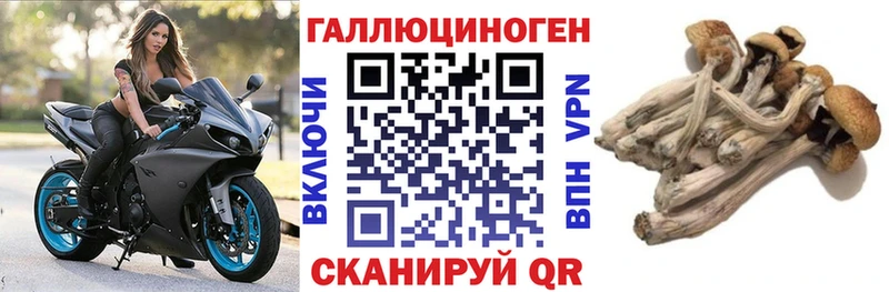 Галлюциногенные грибы прущие грибы  Купить где  Карабаново 